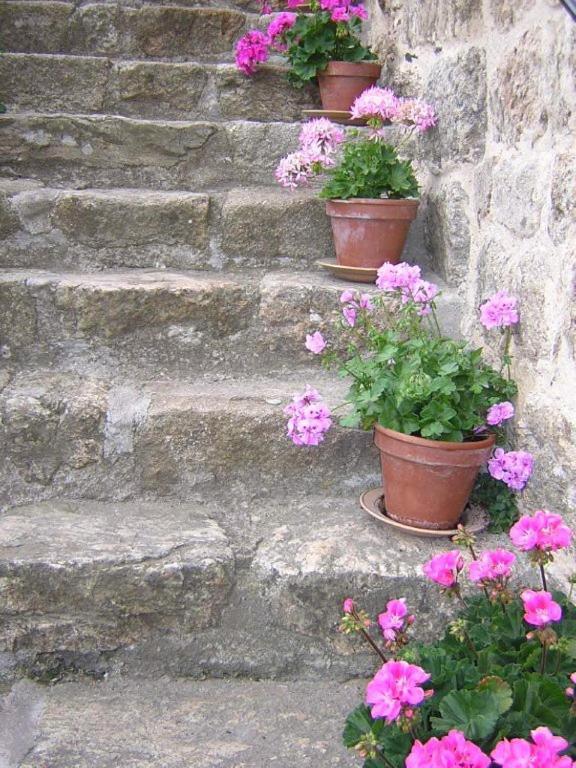 Bed and Breakfast Mas Casta Nea Thueyts Exterior foto